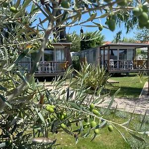 camping-les-cigales.fr-provencehotel.com/